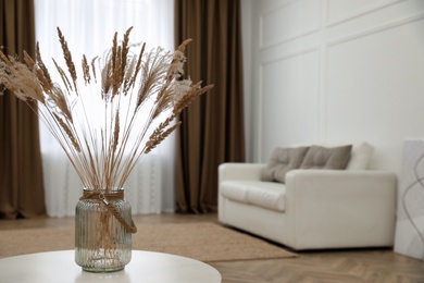 Photo of Fluffy reed plumes on white table in living room interior. Space for text