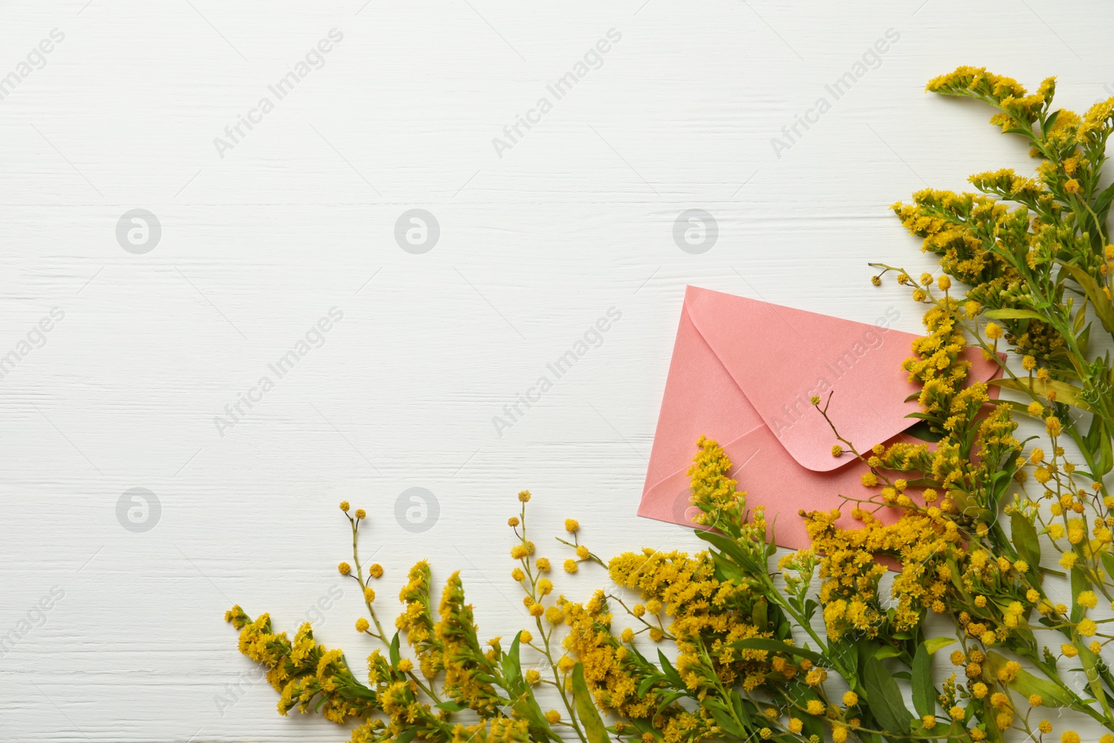 Photo of Pink envelope and fresh mimosa flowers on white wooden table, flat lay. Space for text