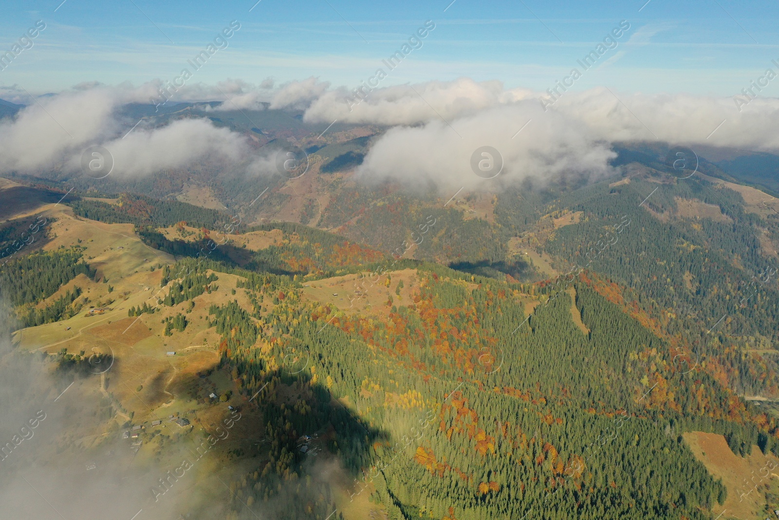 Photo of Aerial view of fluffy clouds over mountain forest