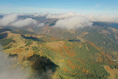 Aerial view of fluffy clouds over mountain forest