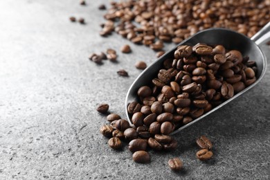 Photo of Metal scoop with roasted coffee beans on grey table, closeup. Space for text