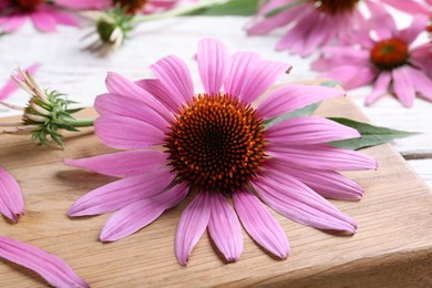 Photo of Beautiful echinacea flowers on wooden board, closeup