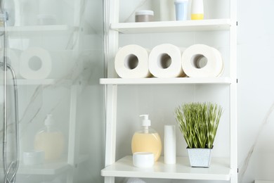 Toilet paper rolls on shelving unit in bathroom