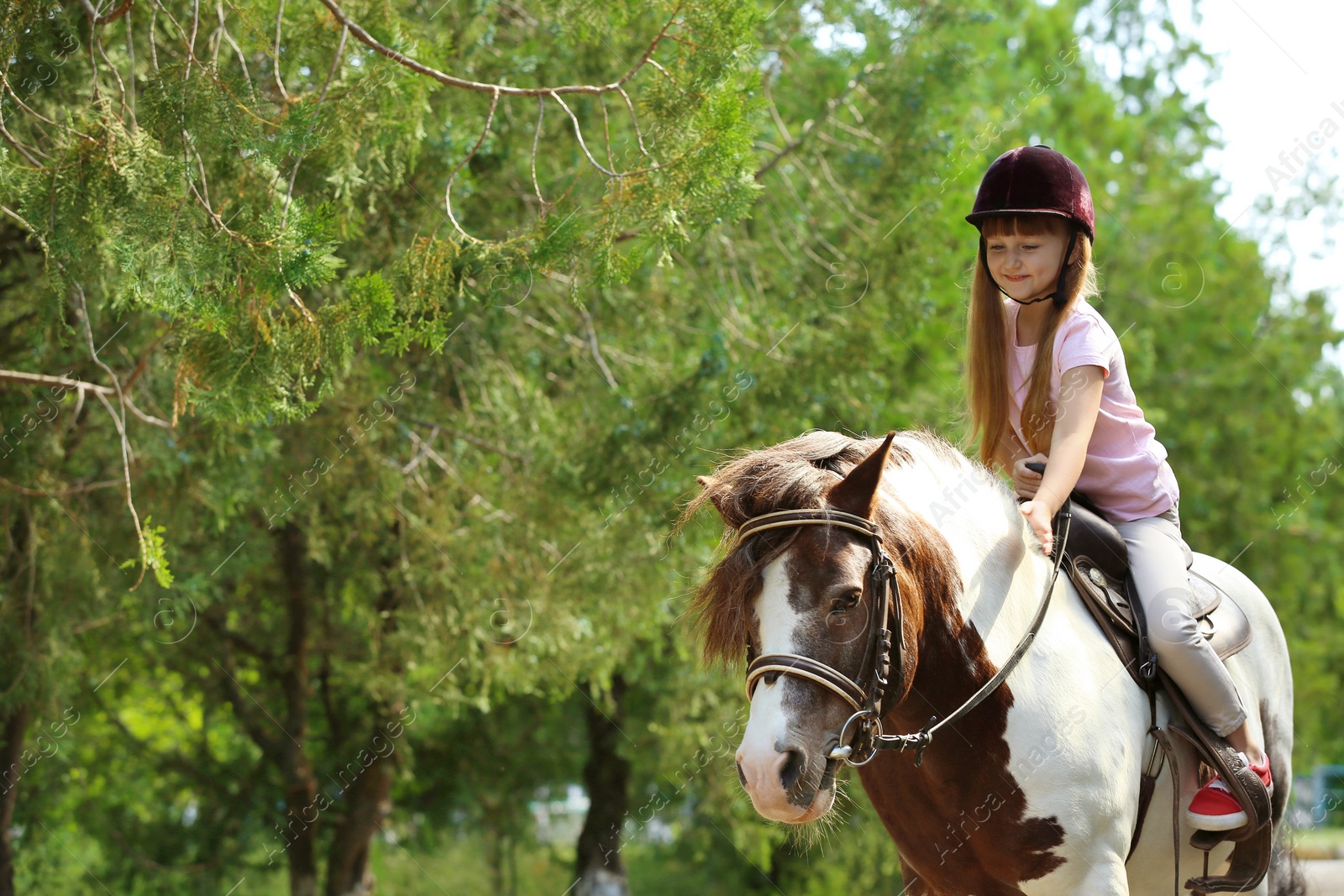 Photo of Cute little girl riding pony in green park