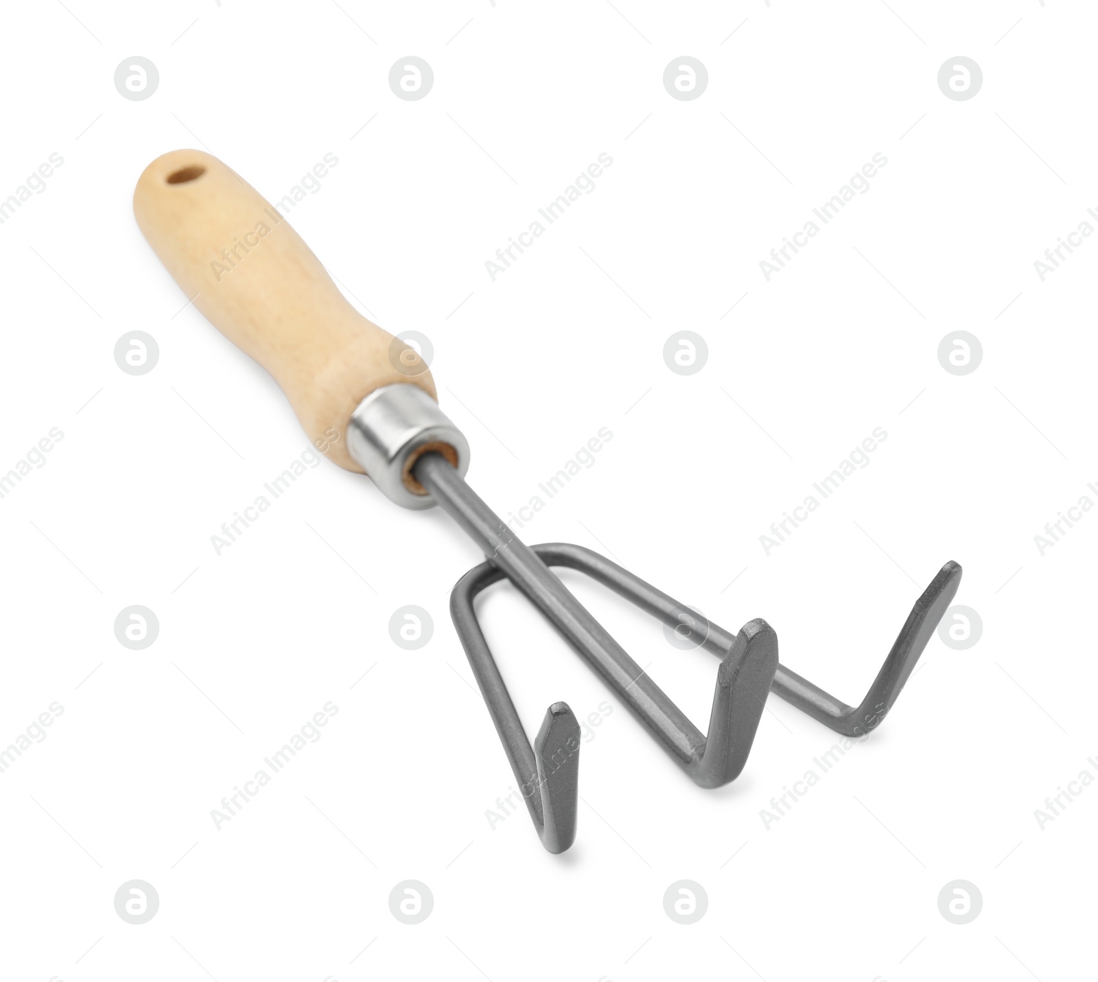 Photo of One rake isolated on white. Gardening tool