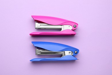 New bright staplers on violet background, flat lay. School stationery