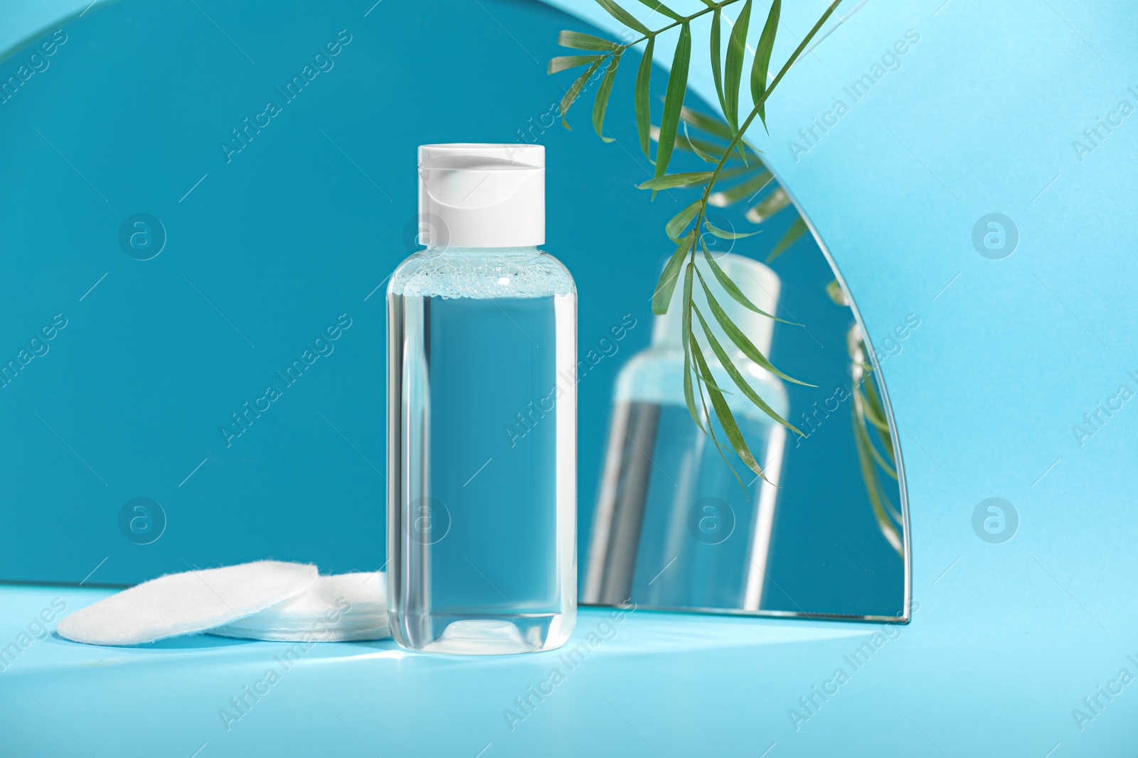 Photo of Bottle of micellar water, houseplant and cotton pads on light blue background near mirror