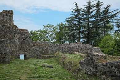 Photo of Picturesque view of large old ruins surrounded by trees