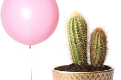 Image of Pink balloon near cacti on white background