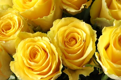 Photo of Beautiful bouquet of yellow roses, closeup view