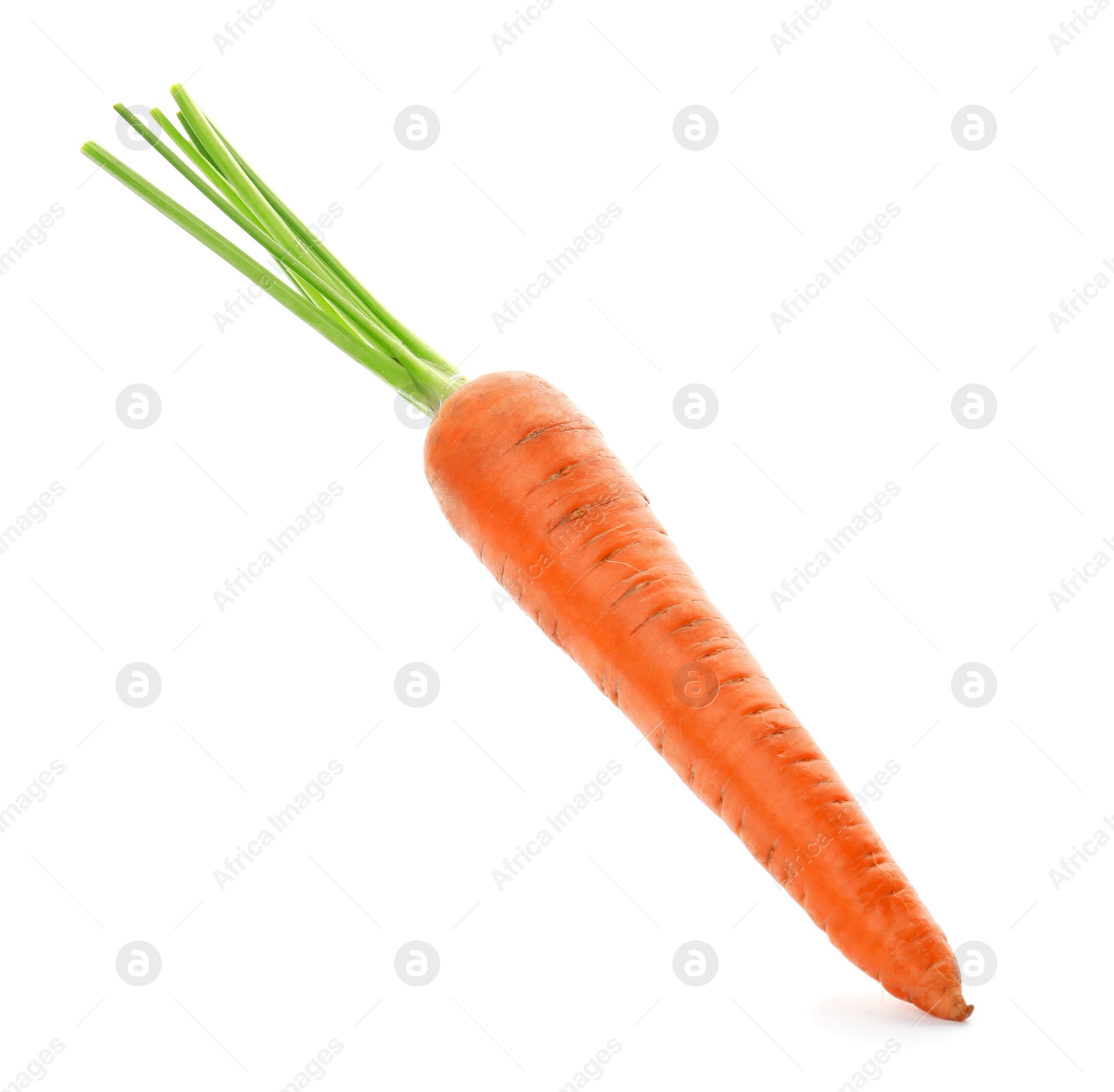 Photo of Ripe fresh carrot on white background