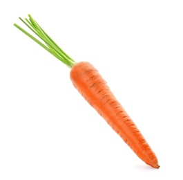 Photo of Ripe fresh carrot on white background