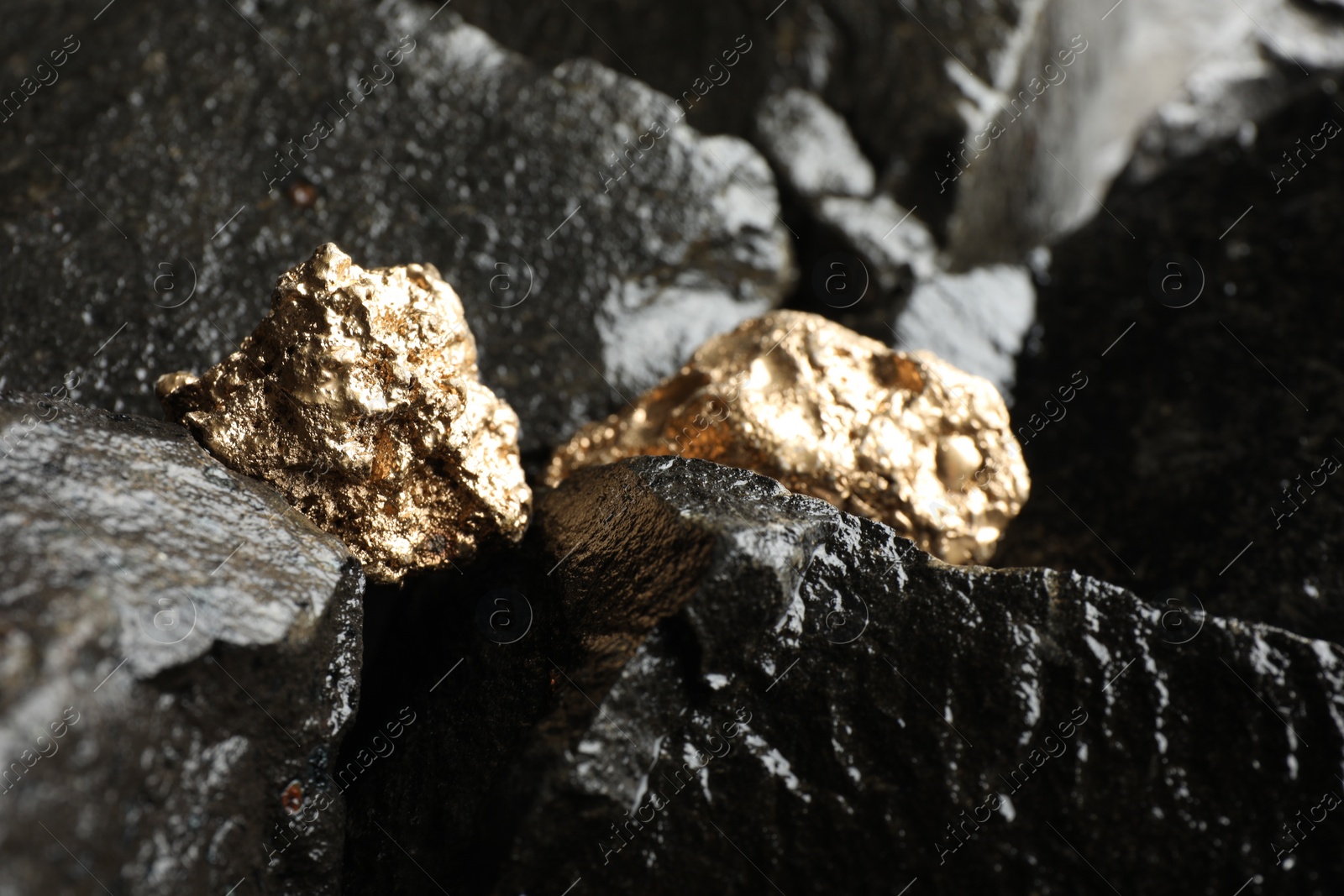 Photo of Shiny gold nuggets on wet stones, closeup