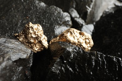 Shiny gold nuggets on wet stones, closeup