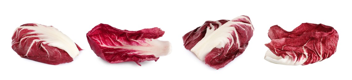 Set with fresh ripe radicchio leaves on white background. Banner design