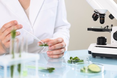 Photo of Quality control. Food inspector examining dill in laboratory, closeup