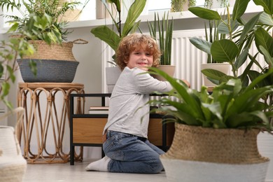 Photo of Cute little boy near beautiful green plants at home. House decor