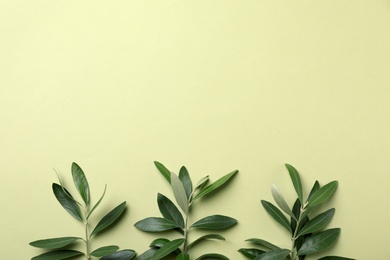 Photo of Twigs with fresh green olive leaves and space for text on color background, flat lay