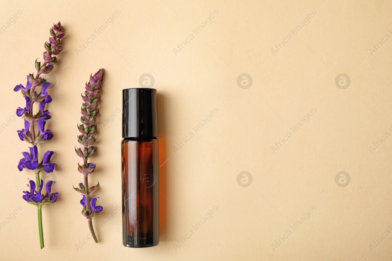 Photo of Bottle of essential oil and sage flowers on color background, flat lay. Space for text