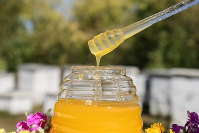 Photo of Taking delicious fresh honey with dipper from glass jar in apiary, closeup
