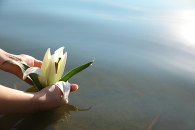 Woman putting flower on water surface, closeup. Nature healing power