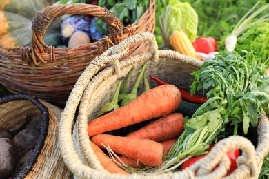 Photo of Different fresh ripe vegetables in wicker baskets outdoors, closeup