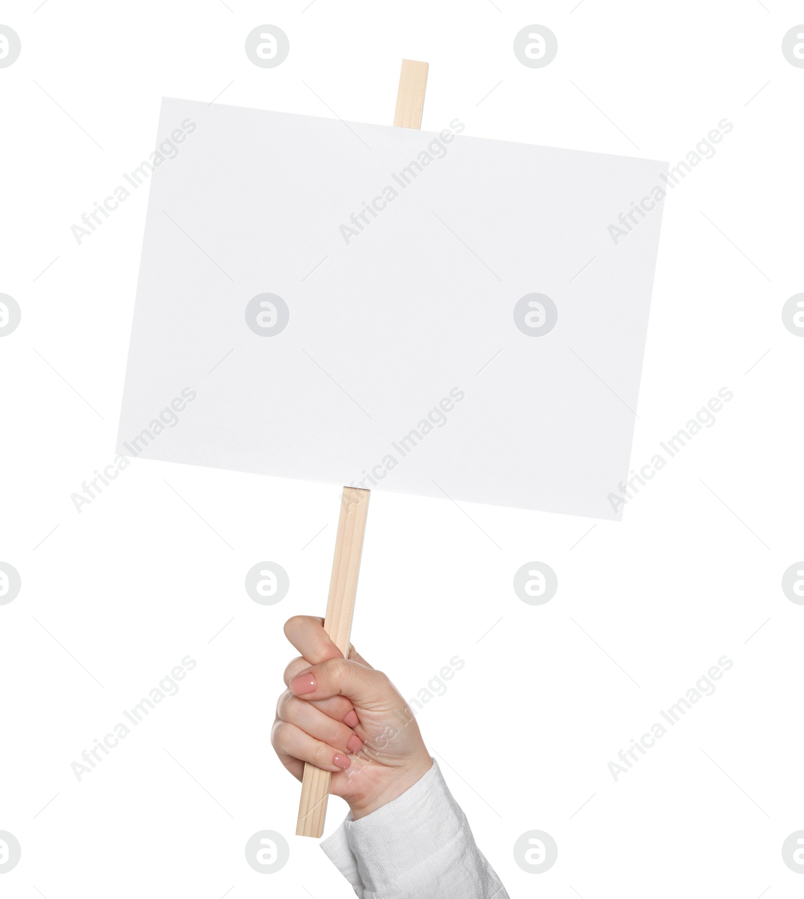 Photo of Woman holding blank protest sign on white background, closeup