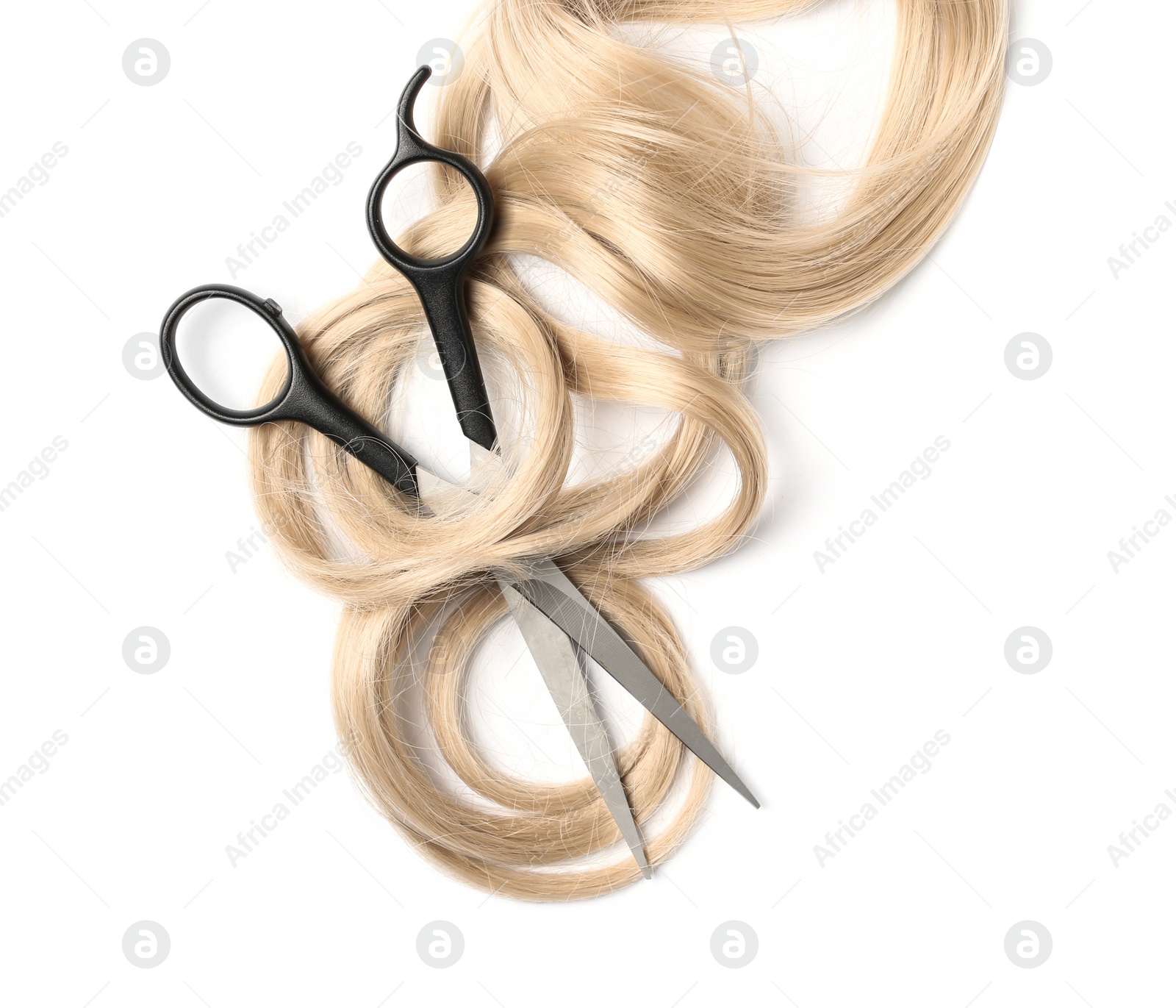 Photo of Curly blond hair and scissors on white background, top view. Hairdresser service
