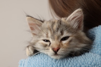Photo of Cute fluffy kitten on owner's shoulder against light background, closeup