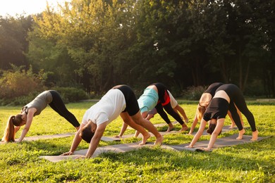 Photo of Group of people practicing yoga on mats outdoors