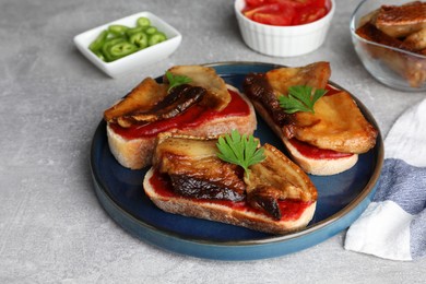 Photo of Tasty sandwiches with fried pork fatback slices on light grey table
