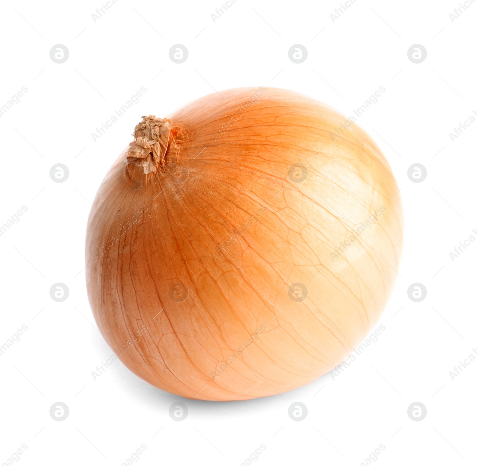 Photo of Fresh ripe onion bulb on white background