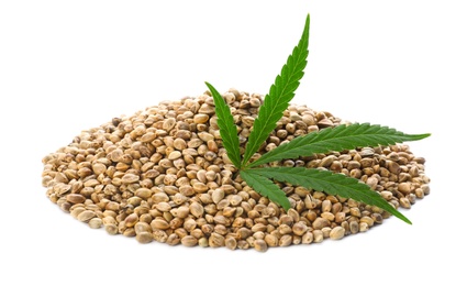 Photo of Pile of hemp seeds and leaf on white background