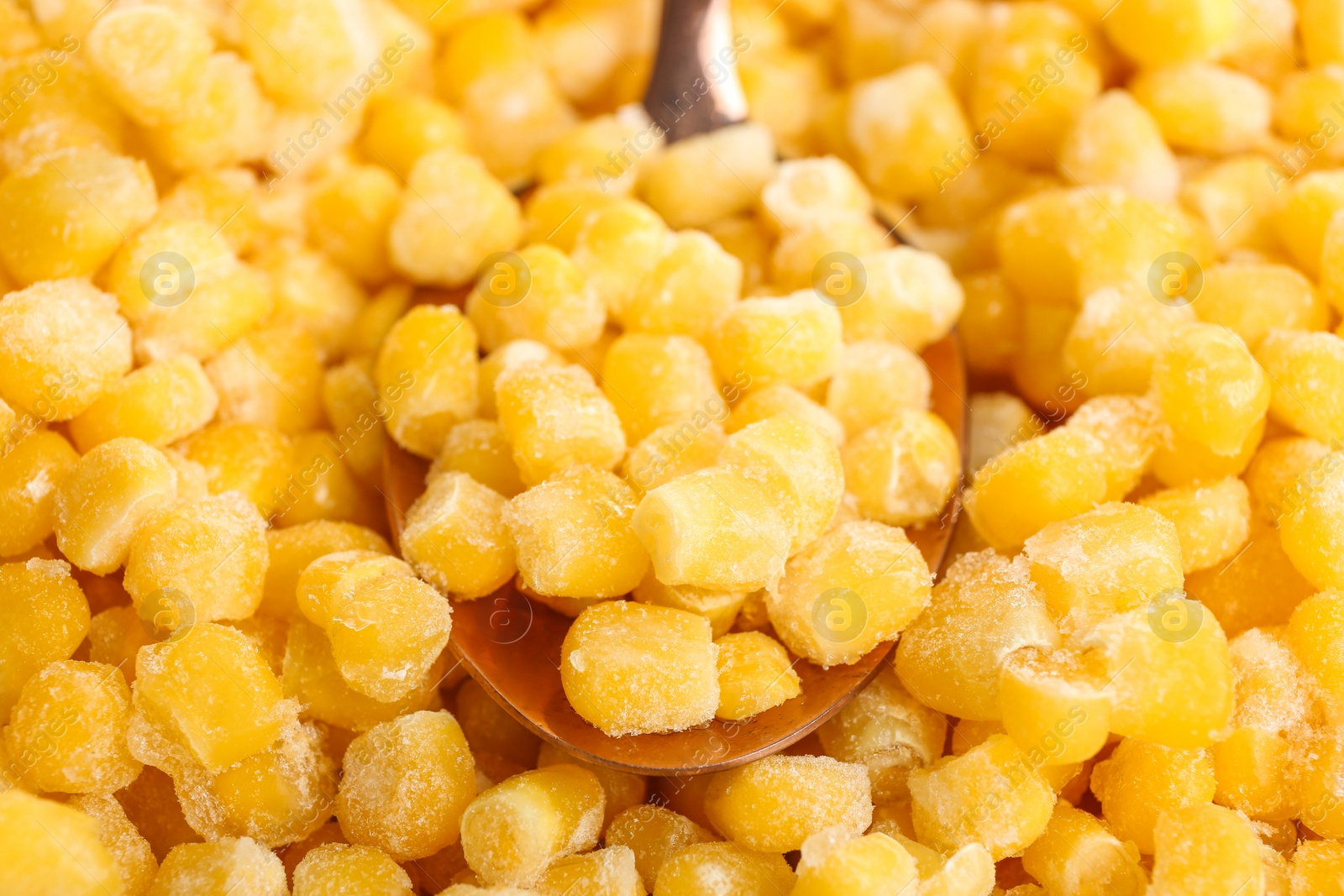 Photo of Frozen corn and spoon, closeup. Vegetable preservation