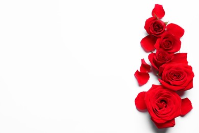 Beautiful red roses and petals on white background, flat lay. Space for text