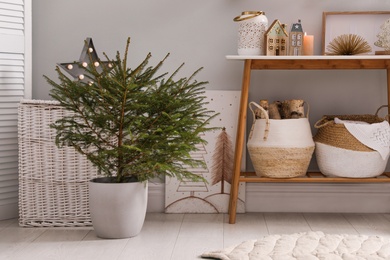 Beautiful room with potted fir tree on floor. Interior design