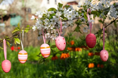 Beautifully painted Easter eggs hanging on blooming tree outdoors, closeup