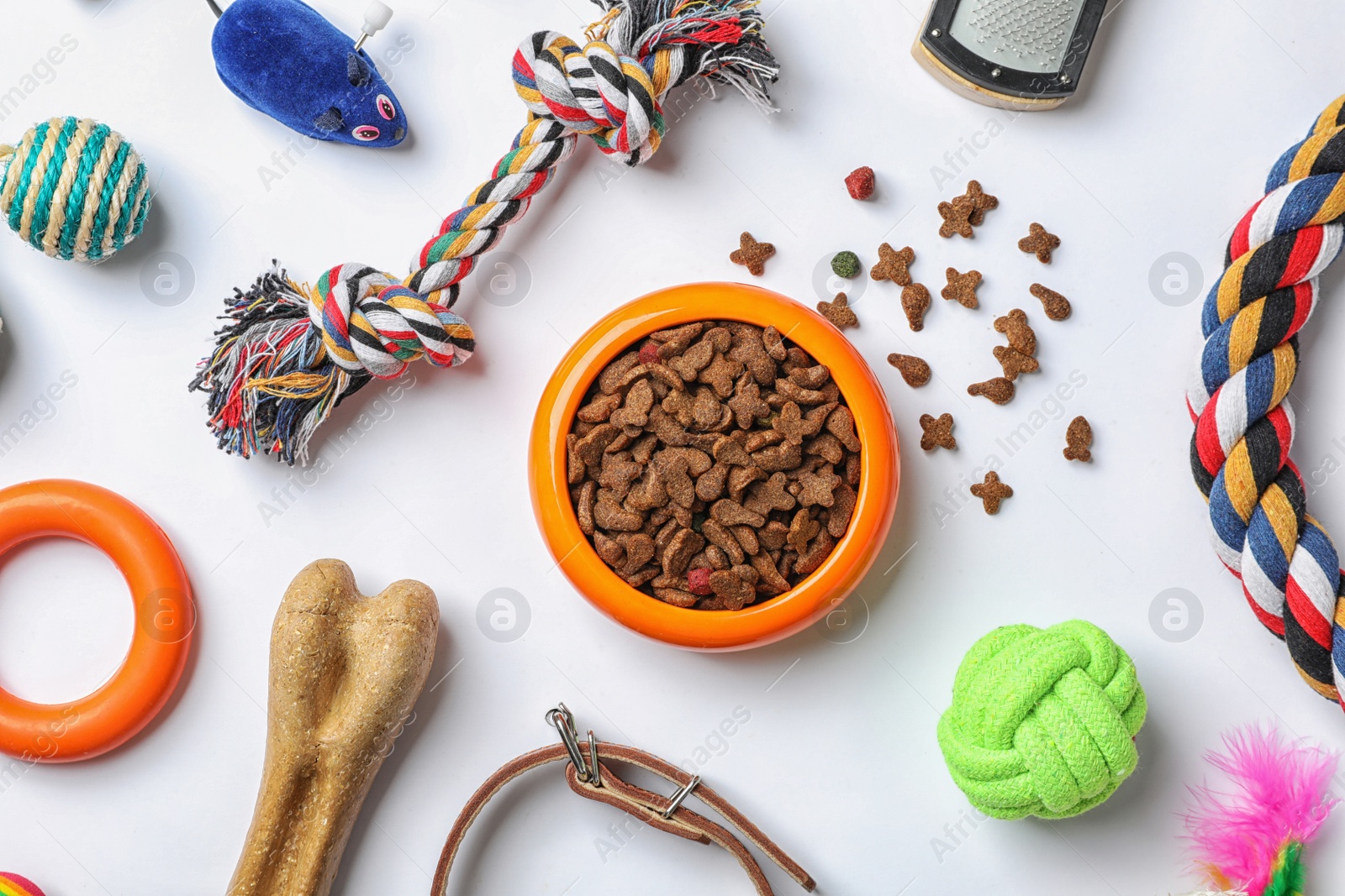 Photo of Bowl with food for cat or dog and accessories on white background. Pet care