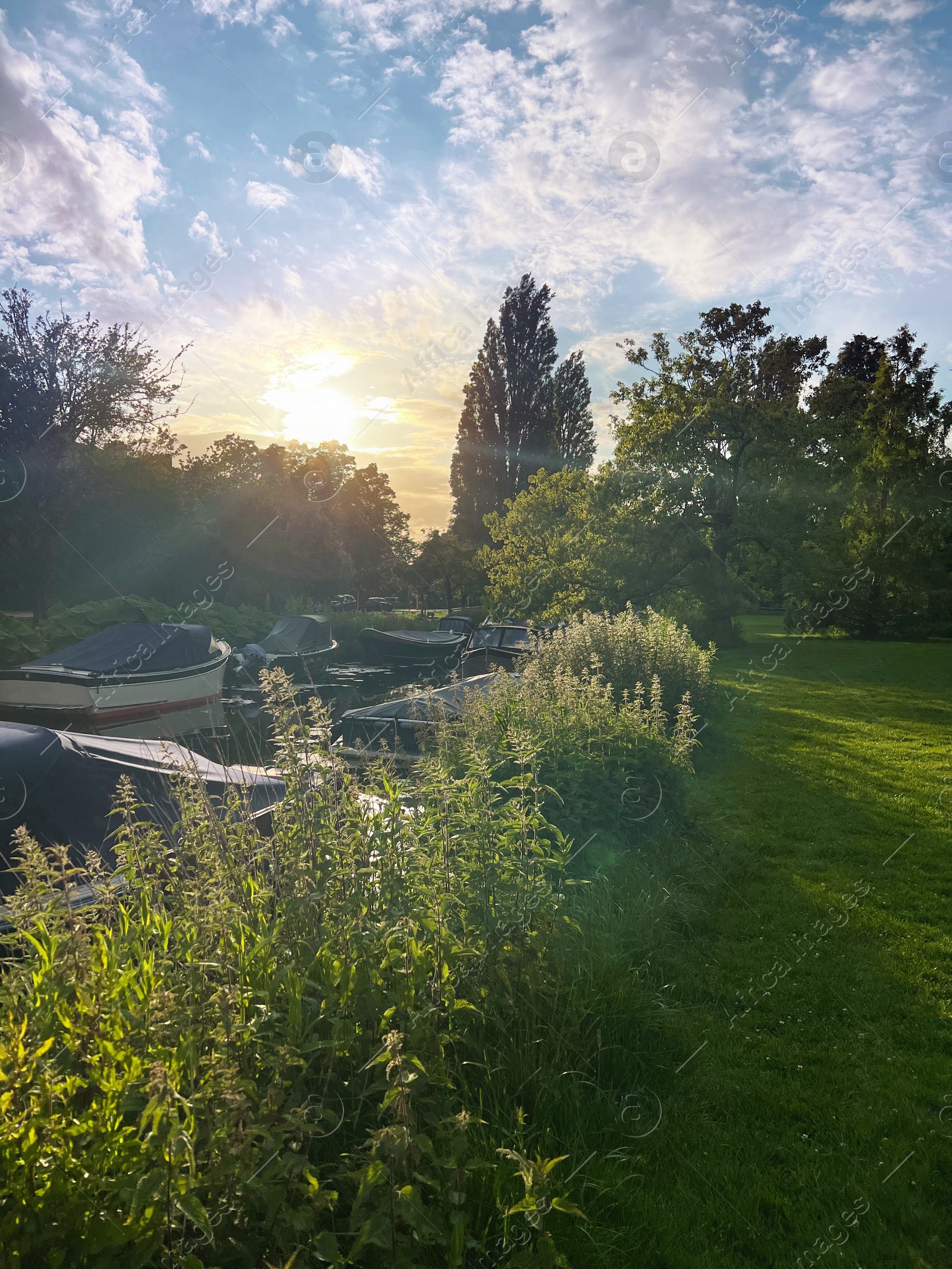 Photo of Picturesque view of beautiful park with fresh green grass and trees near canal on sunny day