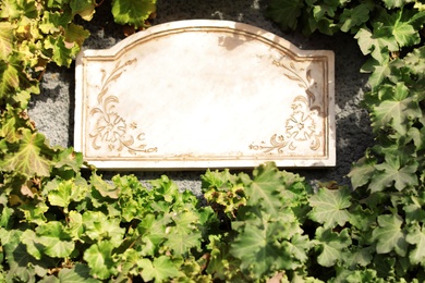 Photo of Vintage stone signboard among green vine on wall