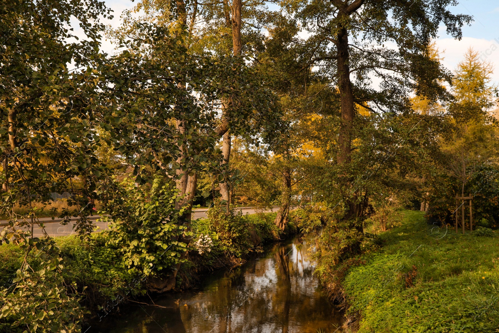 Photo of Picturesque view of river in beautiful park. Autumn season