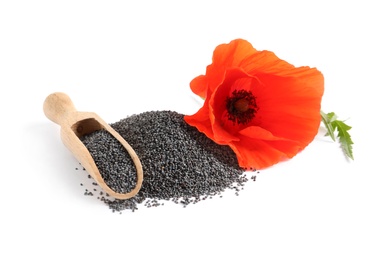 Pile of poppy seeds, scoop and flowers isolated on white