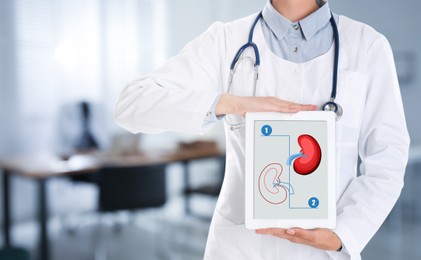 Closeup view of doctor holding modern tablet with illustration of kidneys indoors, space for text