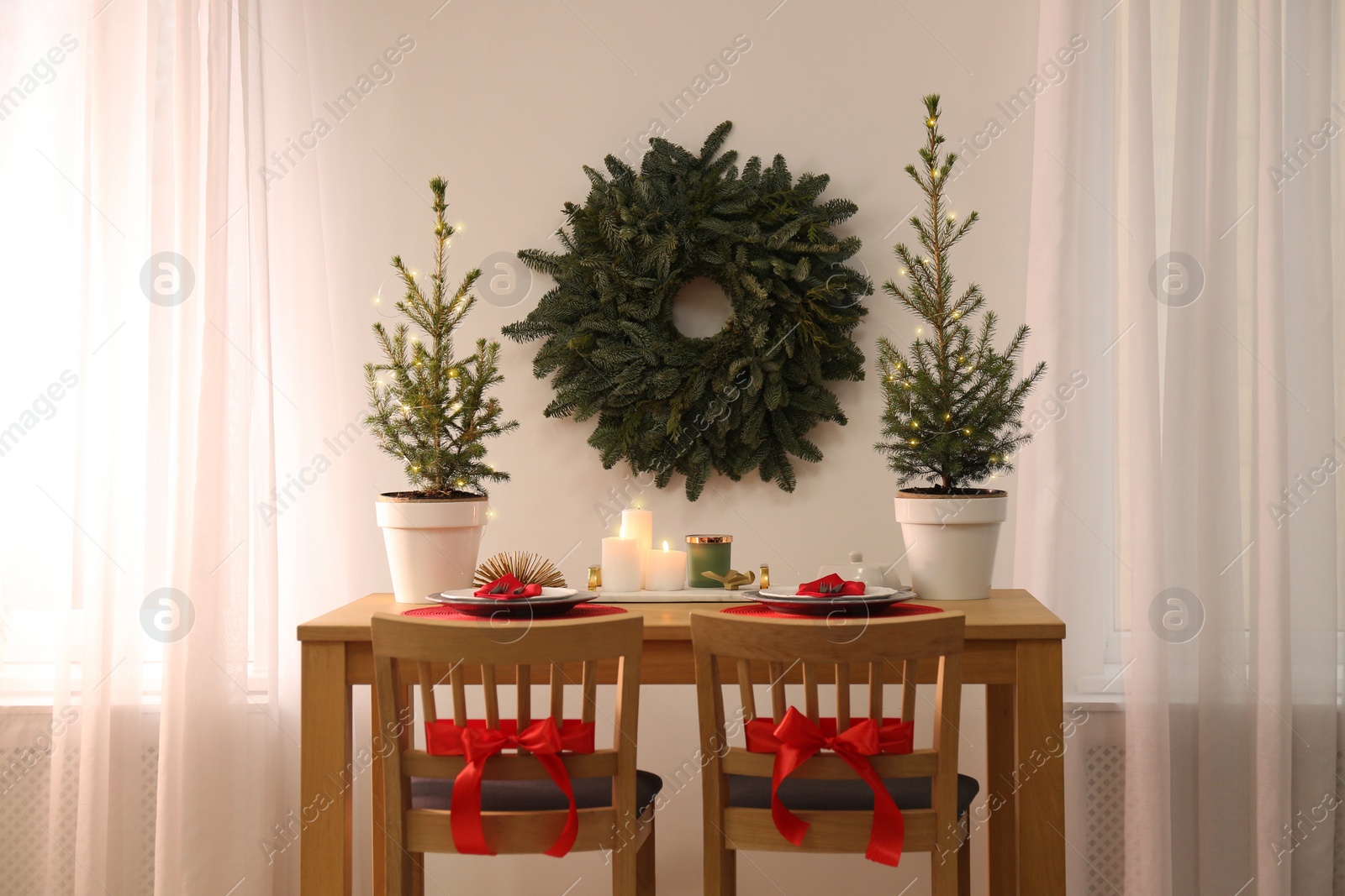 Photo of Small potted fir trees in dining room. Interior design