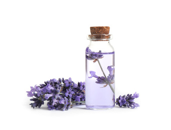 Photo of Bottle of essential oil and lavender flowers on white background