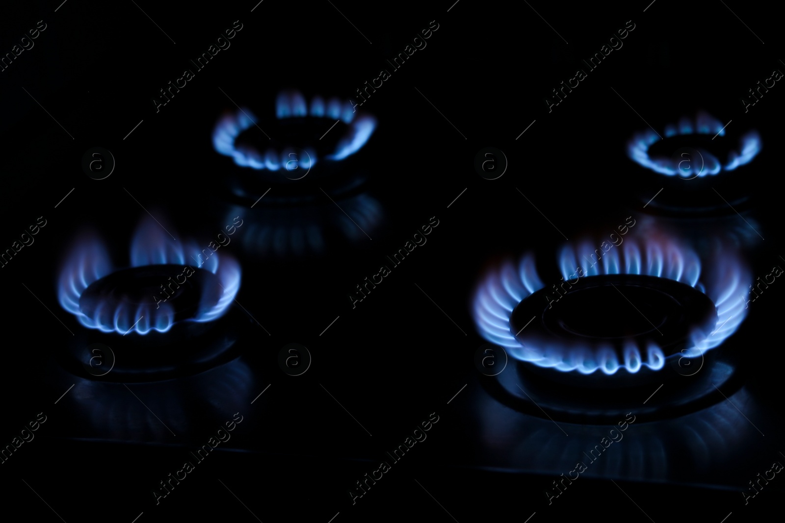 Photo of Gas cooktop with burning blue flames in darkness