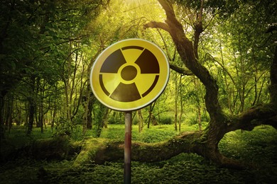 Image of Radioactive pollution. Yellow warning sign with hazard symbol near contaminated area in forest
