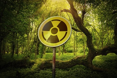 Radioactive pollution. Yellow warning sign with hazard symbol near contaminated area in forest