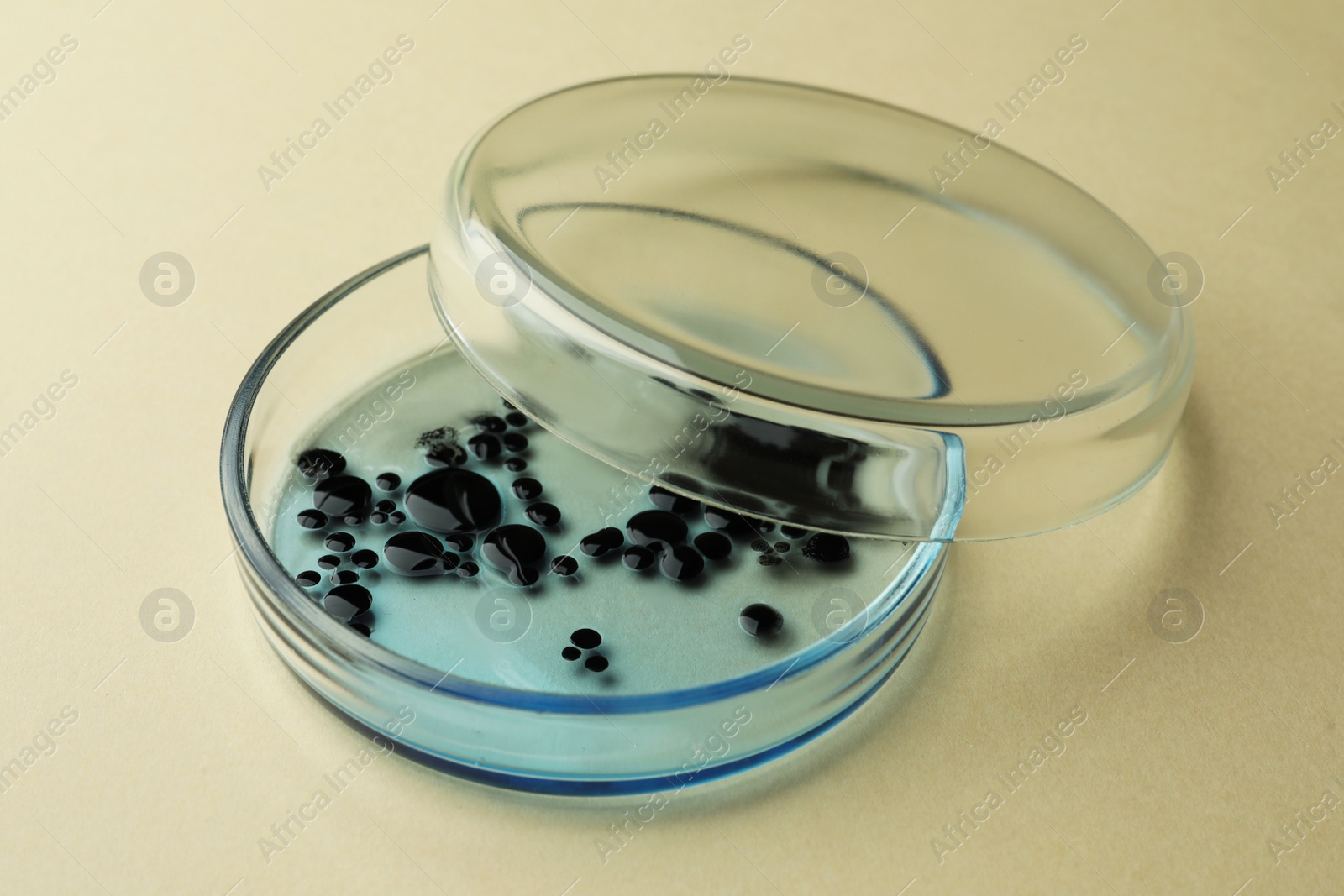 Photo of Petri dish with bacteria colony on beige background, closeup