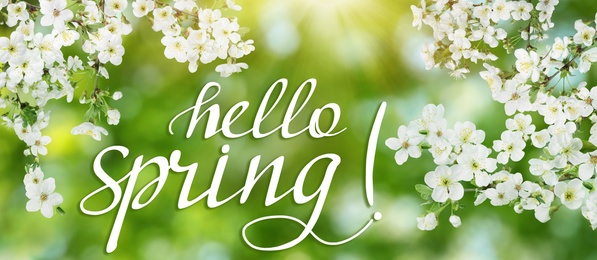 Image of Hello Spring. Tree branches with beautiful flowers outdoors, banner design